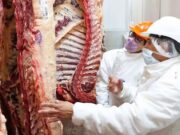 Carne vacuna: menor oferta y reorientación exportadora apuntan a precios aún más altos para el año próximo