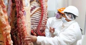 Carne vacuna: menor oferta y reorientación exportadora apuntan a precios aún más altos para el año próximo