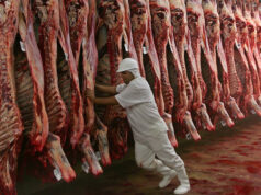“Los números no cierran”: frigoríficos exportadores adelantaron vacaciones y frenaron la faena