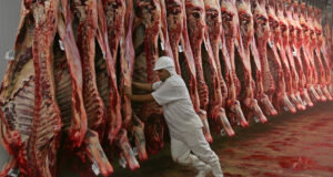“Los números no cierran”: frigoríficos exportadores adelantaron vacaciones y frenaron la faena