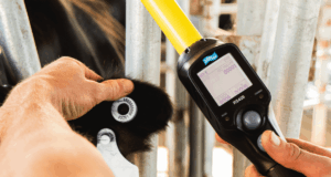 INTA San Luis presenta una jornada técnica sobre identificación electrónica y manejo eficiente de datos ganaderos