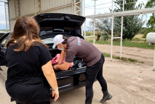 Recomendaciones a los turistas para prevenir el ingreso de la Mosca de los frutos