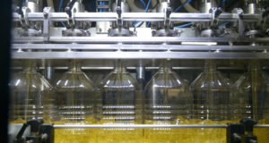 La molienda de girasol alcanzó en octubre un crecimiento interanual de 34%