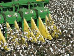 El Gobierno Nacional aprobó en los últimos dos años la mayor cantidad deproductos genéticamente modificados en su historia