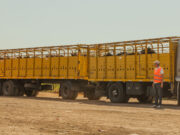 El costo del transporte volvió a subir en noviembre y acumula un alza del 34% en el año