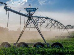 Con inteligencia artificial, redefinen el monitoreo del riego en la Argentina