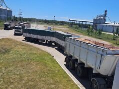 Las exportaciones de San Luis cayeron 4,1% en el primer semestre de 2025, pero sostienen su perfil productivo