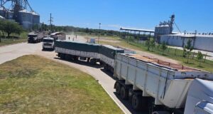 Las exportaciones de San Luis cayeron 4,1% en el primer semestre de 2025, pero sostienen su perfil productivo