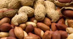 Por qué el maní cordobés es el más dulce del mundo