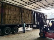 Desde Villa Mercedes, dos nuevos envíos de alfalfa llegaron a Brasil y Aruba