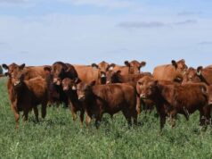 Movimientos 2025: ¿Qué revelan los traslados de hacienda durante el último año?