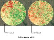 La sequía deja sin sembrar la mitad del área agrícola en el centro este de San Luis