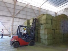 AgroZAL afianza a San Luis en el mapa exportador con 725 toneladas de alfalfa rumbo a Medio Oriente