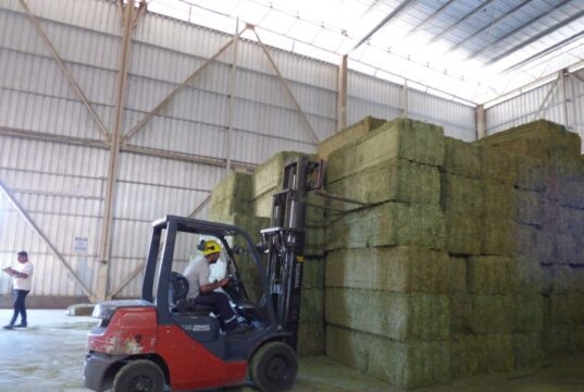 AgroZAL afianza a San Luis en el mapa exportador con 725 toneladas de alfalfa rumbo a Medio Oriente