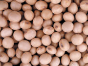 Argentina alcanzó en 2025 récord de exportaciones agroindustriales en toneladas