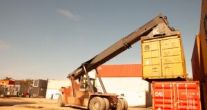 La Pampa: Certificación de exportación de girasol a países de América latina