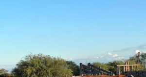 Clima dispar y cultivos bajo presión: el informe nacional advierte un escenario desafiante para San Luis