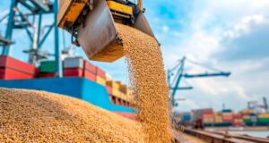 Triple shock global: Trump suma 8 millones de toneladas de soja, los biocombustibles disparan el aceite y la sequía mete presión en Argentina