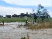 La Petra bajo el agua y el barro: 10 mil hectáreas golpeadas por una tormenta y años de inacción