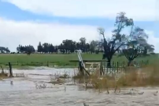 La Petra bajo el agua y el barro: 10 mil hectáreas golpeadas por una tormenta y años de inacción