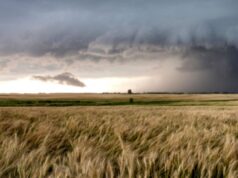 Soven arrasó con las lluvias en San Luis y superó los 300 milímetros en febrero