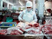 Nuevo récord de precio para la cuota Hilton, buen ritmo de ventas a Estados Unidos, y preocupación en la industria por el alto costo del novillo