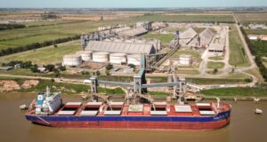 Soja con prima de USD 20, trigo arriba de USD 200 y lluvias que cambian el escenario productivo en Argentina