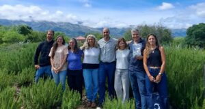 Investigadores analizaron en Merlo el potencial del romero como bioestimulante para la protección de cultivos