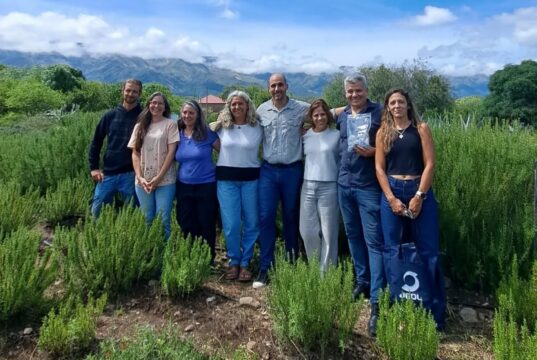 Investigadores analizaron en Merlo el potencial del romero como bioestimulante para la protección de cultivos