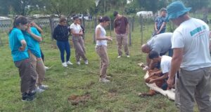 Formación rural con mirada productiva en el norte puntano