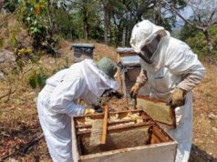 La apicultura puntana vuelve a reunirse para proyectar su futuro productivo