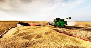 Guerra en Medio Oriente, compras chinas y rumores de retenciones: la soja llegó a USD 330 y sube la volatilidad en los granos