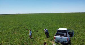 Ingresos Brutos vuelve al centro del debate por su impacto en la producción agropecuaria de San Luis