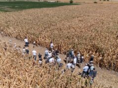 PT Farm apuesta a Expoagro 2026 comovidriera de su plataforma de articulaciónsectorial