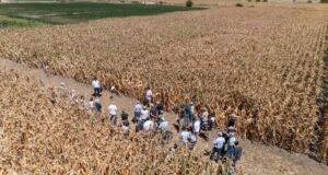 PT Farm apuesta a Expoagro 2026 comovidriera de su plataforma de articulaciónsectorial