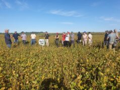 Tecnología, genética y sustentabilidad marcaron el pulso de una jornada a campo en Villa Mercedes