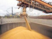La guerra en Medio Oriente empuja los granos y dispara la volatilidad global