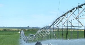 Mondino desarrolla una jornada a campo en Ser Beef sobre manejo y control de malezas, plagas y enfermedades