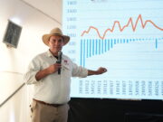 Eficiencia productiva, mercados y genética, los ejes para fortalecer la ganadería argentina