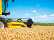 El agro podría crecer 90% en diez años y llevar su aporte al 45% del PBI si se eliminan las retenciones