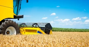 El agro podría crecer 90% en diez años y llevar su aporte al 45% del PBI si se eliminan las retenciones