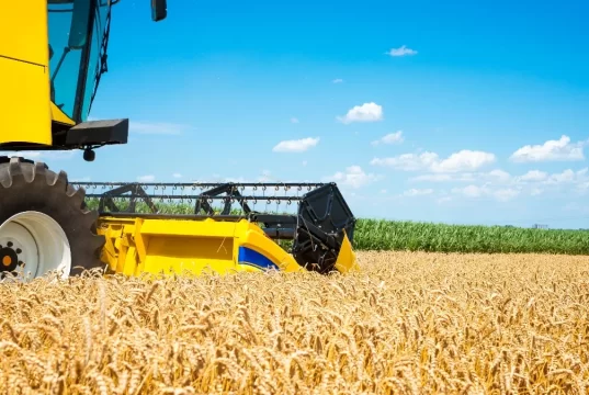 El agro podría crecer 90% en diez años y llevar su aporte al 45% del PBI si se eliminan las retenciones