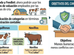 RIMI: Cuáles son los incentivos fiscales diseñados para promover inversiones en equipos de riego, hacienda y mallas antigranizo