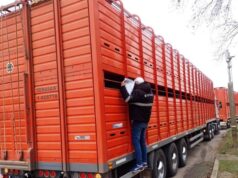 Córdoba avanza hacia la digitalización del tránsito ganadero con un nuevo proyecto de ley