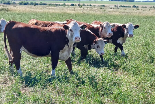 El RIMI marca nuevas oportunidades para las Inversiones Agroindustriales