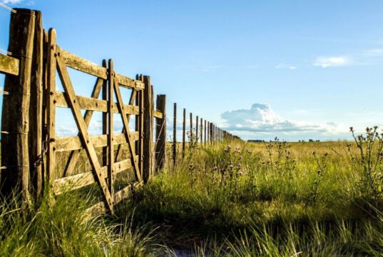 La compraventa de campos se enfría y crece la cautela inversora por la incertidumbre política