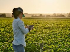 De la mesa llena de papeles a un eficiente control de gestión: ¡Mirá el cambio de esta empresa familiar!