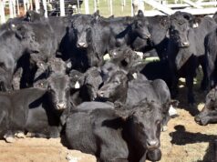 Proyecciones 2026: oferta limitada y un nuevo perfil de demanda