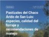 Radiografía del Chaco Árido puntano: el desafío de producir carne en uno de los ecosistemas más frágiles del país