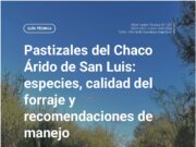 Radiografía del Chaco Árido puntano: el desafío de producir carne en uno de los ecosistemas más frágiles del país